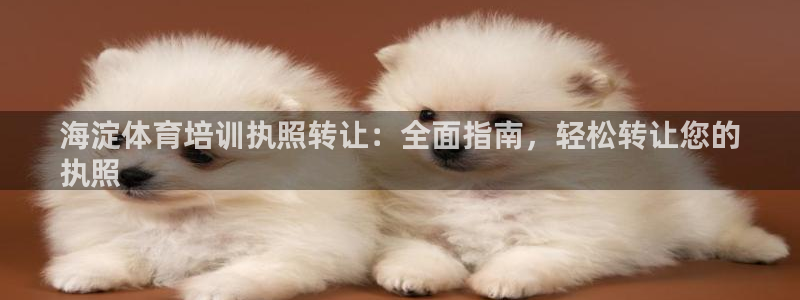 极悦娱乐贴吧最新消息：海淀体育培训执照转让：全面指南