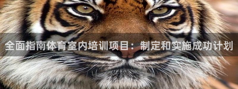 极悦娱乐：全面指南体育室内培训项目：制定和实施成功计