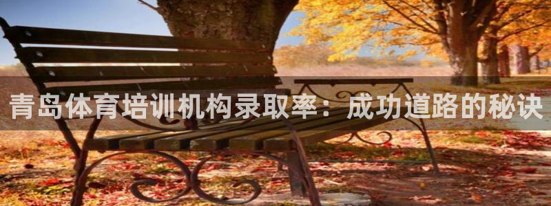 极悦平台客服团队名称：青岛体育培训机构录取率：成功道