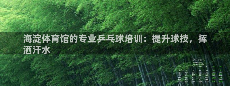 极悦平台反7O777：海淀体育馆的专业乒乓球培训：提