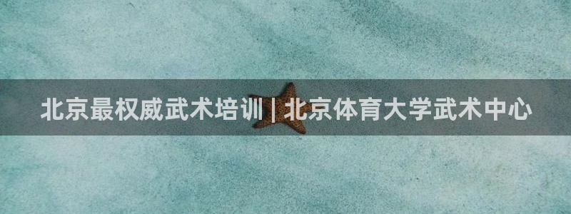 极悦平台注册和登录页面在哪：北京最权威武术培训 | 