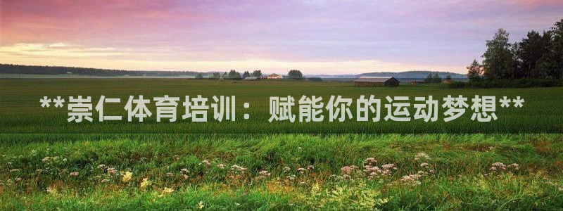 极悦平台官方网站下载安卓：**崇仁体育培训：赋能你的