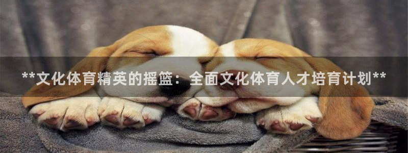 极悦平台是干嘛的：**文化体育精英的摇篮：全面文化体