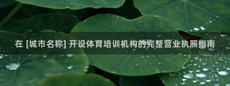 极悦娱乐的创始人背景故事介绍