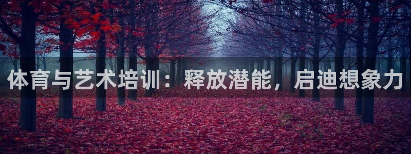 极悦娱乐官网下载：体育与艺术培训：释放潜能，启迪想象