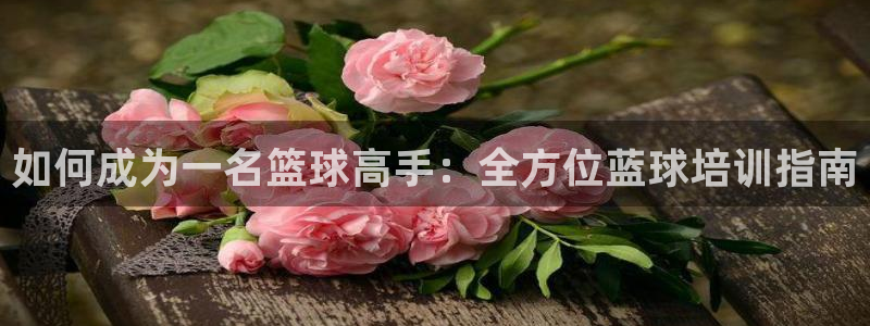 极悦平台注册用户名格式是什么：如何成为一名篮球高手：