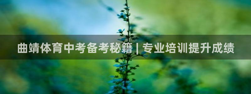 极悦平台发7O777