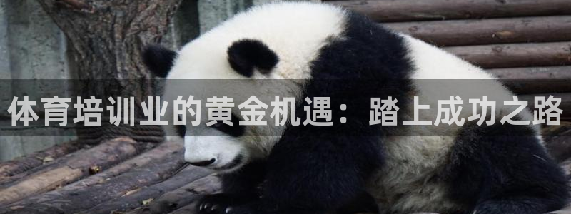 极悦平台是正规平台吗安全吗