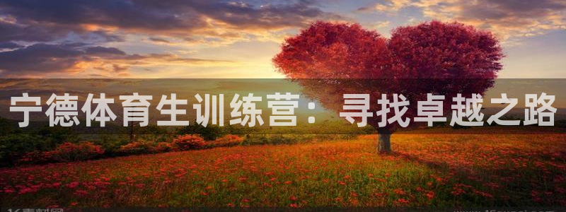 极悦平台官网登录不了怎么回事：宁德体育生训练营：寻找