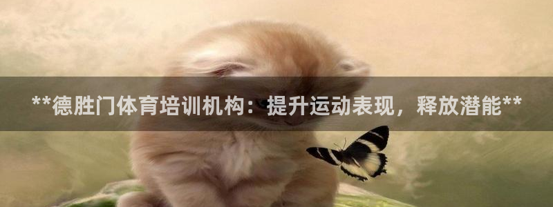 极悦平台登录最新版本更新内容在哪：**德胜门体育培训