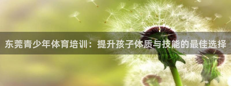 极悦平台注册用户名验证失败：东莞青少年体育培训：提升