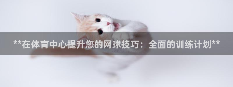 极悦娱乐官网入口：**在体育中心提升您的网球技巧：全