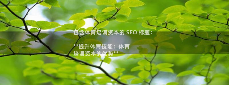 极悦平台客服团队名称