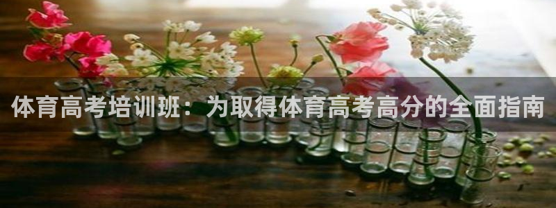 极悦平台和蓝狮平台区别是什么：体育高考培训班：为取得