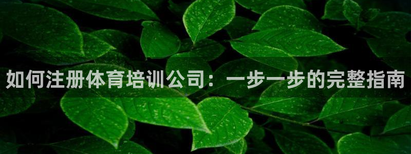 极悦娱乐创始人背景故事介绍：如何注册体育培训公司：一
