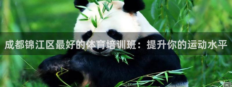 极悦平台股东：成都锦江区最好的体育培训班：提升你的运
