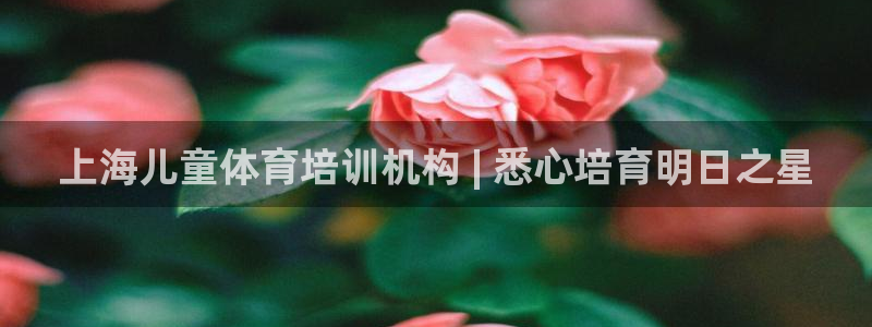 极悦娱乐负责人怎么样：上海儿童体育培训机构 | 悉心