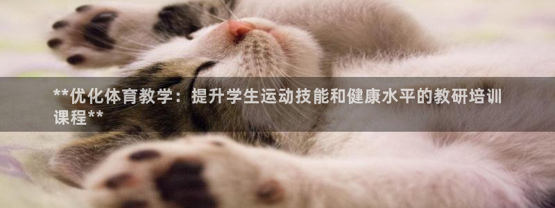 加盟极悦教育要多少钱：**优化体育教学：提升学生运动
