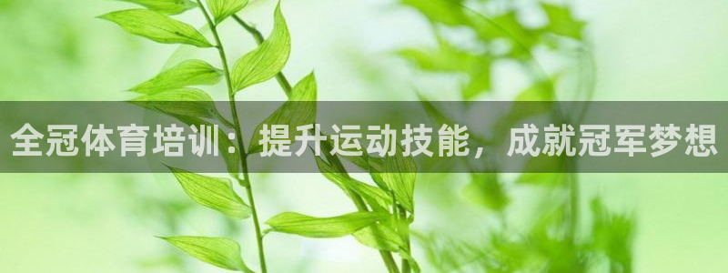 极悦平台代理怎么样啊：全冠体育培训：提升运动技能，成