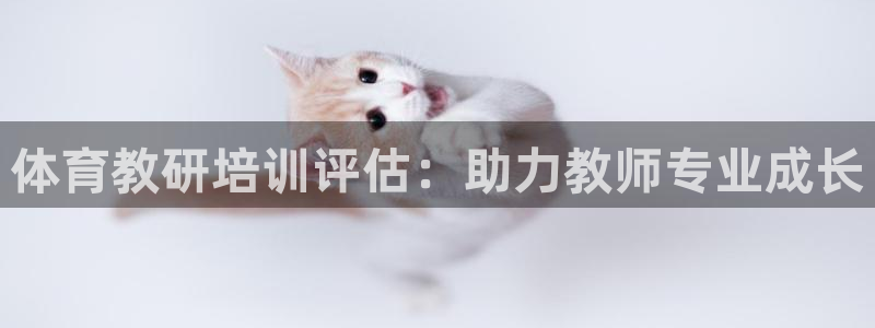 极悦平台德711.112的更新内容