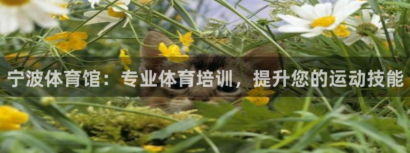 极悦娱乐官网下载