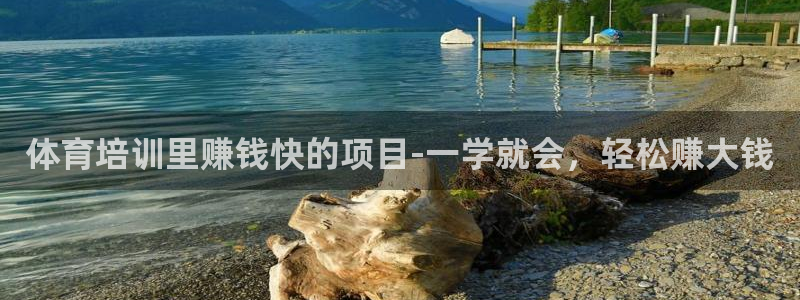 极悦娱乐登录拒绝访问怎么办：体育培训里赚钱快的项目-