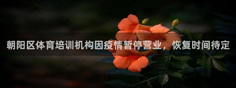 极悦生活家是什么平台：朝阳区体育培训机构因疫情暂停营