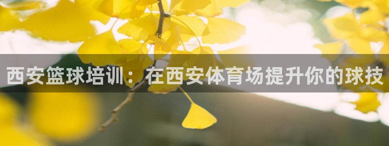 苏州极悦信息科技有限公司：西安篮球培训：在西安体育场