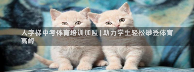 极悦娱乐最新版本更新内容分享：人字梯中考体育培训加盟