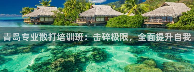 极悦娱乐贴吧最新消息：青岛专业散打培训班：击碎极限，全面提升