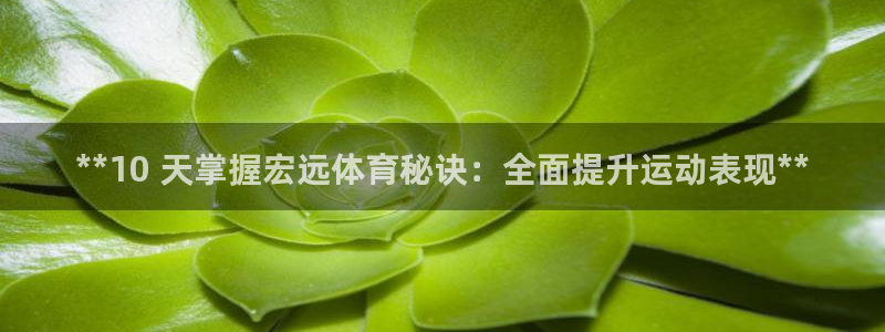 极悦平台