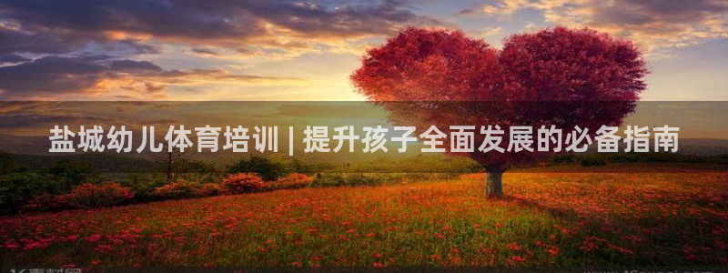 极悦平台注册资金多少：盐城幼儿体育培训 | 提升孩子全面发展