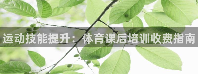 极悦官网的登录方法是什么：运动技能提升：体育课后培训