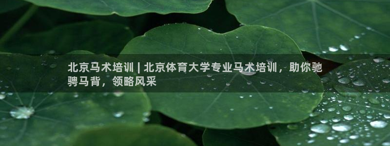 极悦娱乐负责人：北京马术培训 | 北京体育大学专业马