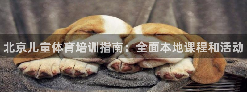 加盟极悦教育多少钱：北京儿童体育培训指南：全面本地课