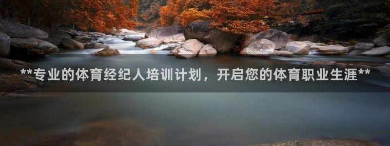 极悦平台客服团队名称