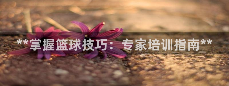极悦牙膏怎么样好不好：**掌握篮球技巧：专家培训指南