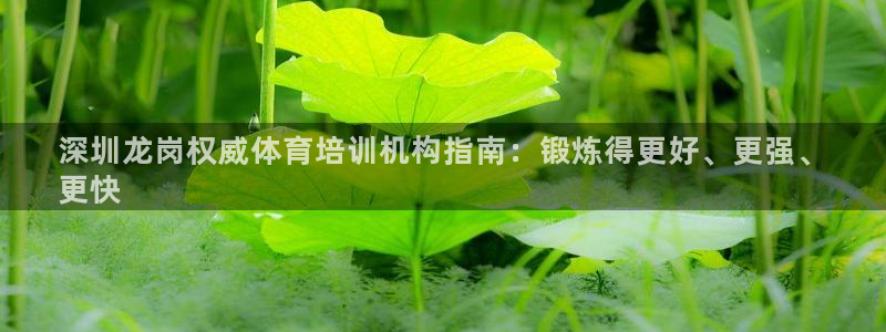 极悦娱乐负责人怎么样：深圳龙岗权威体育培训机构指南：