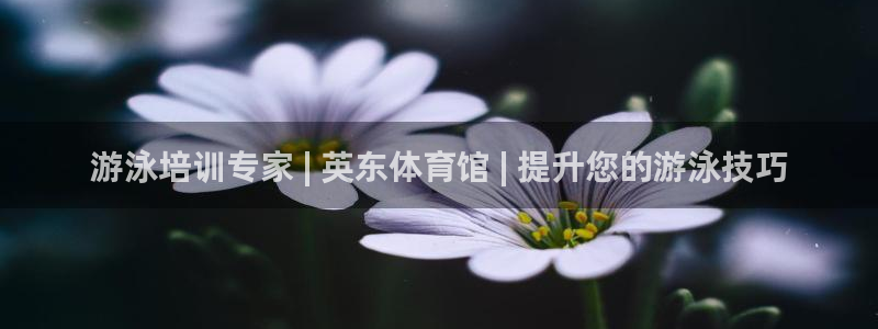 极悦平台注册用户名验证码是什么：游泳培训专家 | 英
