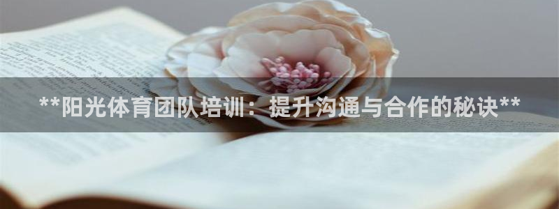 极悦平台官方网站入口网址：**阳光体育团队培训：提升