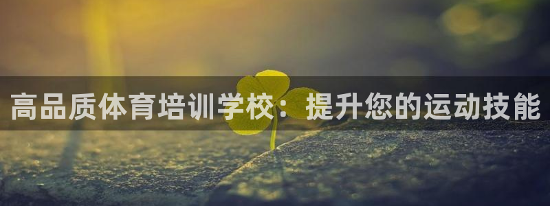 极悦娱乐的创始人背景故事：高品质体育培训学校：提升您