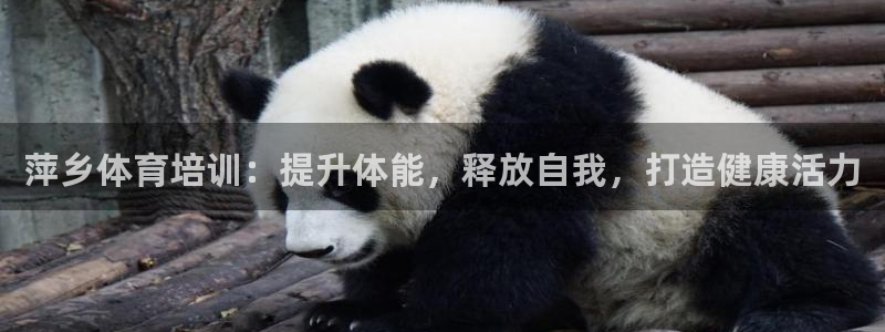 极悦平台与网易合作详情在哪：萍乡体育培训：提升体能，
