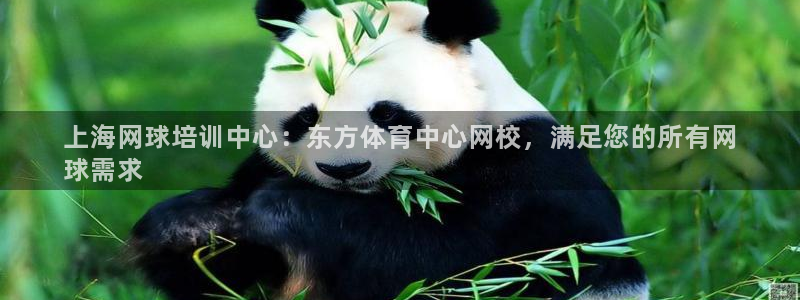 极悦平台代理电话：上海网球培训中心：东方体育中心网校