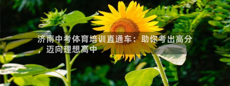 极悦平台官方网站首页：济南中考体育培训直通车：助你考