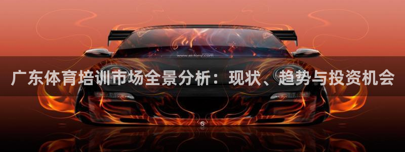 极悦平台注册用户名验证不了：广东体育培训市场全景分析