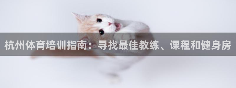 极悦平台客服团队名称