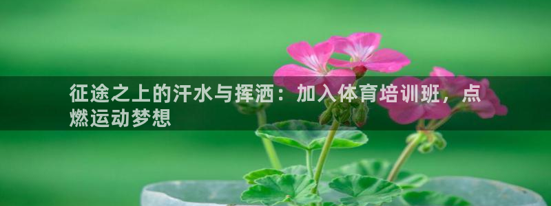 极悦娱乐的内部员工福利：征途之上的汗水与挥洒：加入体