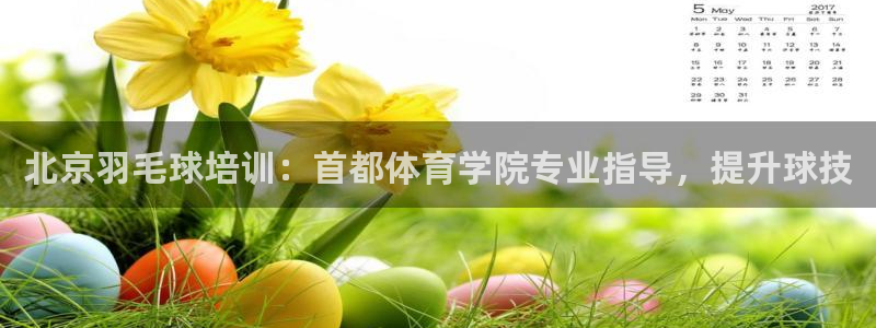 极悦平台的注册流程及注意事项有哪些：北京羽毛球培训：
