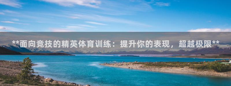 加盟极悦教育：**面向竞技的精英体育训练：提升你的表