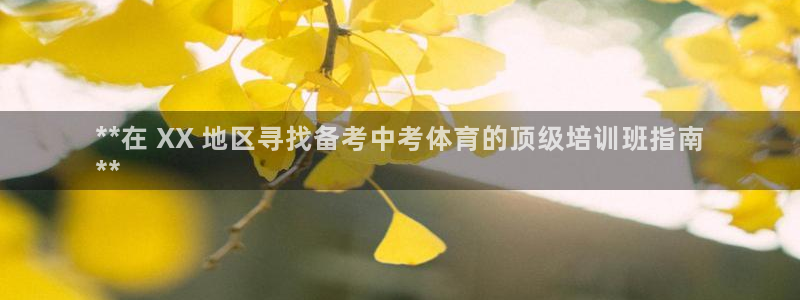 极悦平台登录方式有哪些：**在 XX 地区寻找备考中